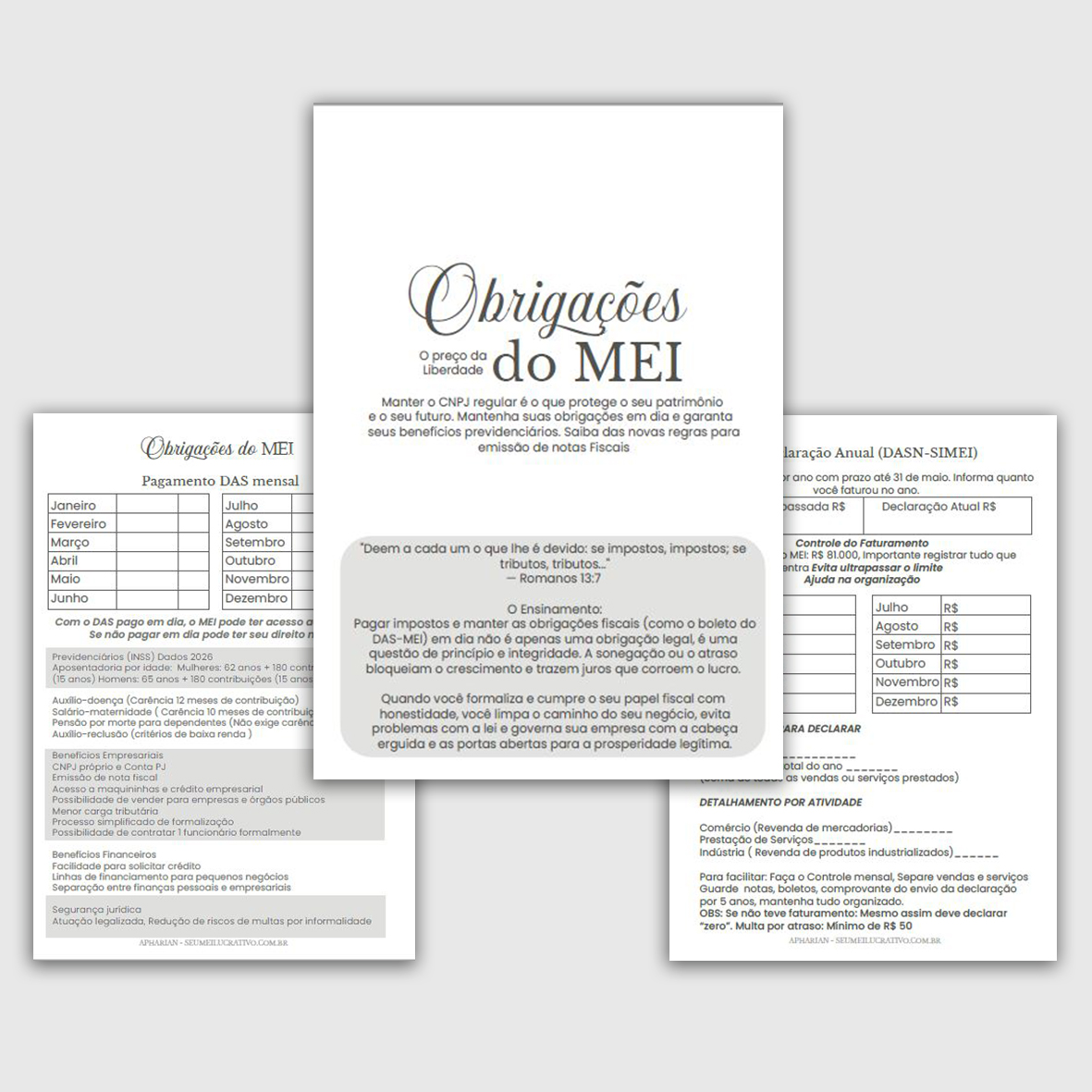 Caderno Seu MEI Lucrativo - Imagem 4