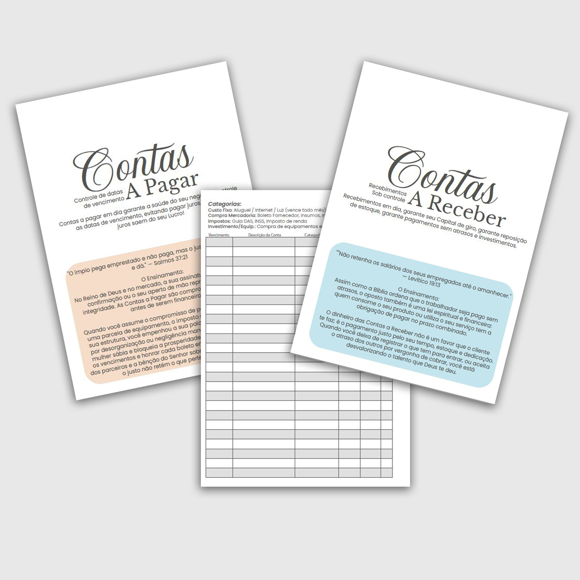 Caderno Seu MEI Lucrativo - Imagem 5