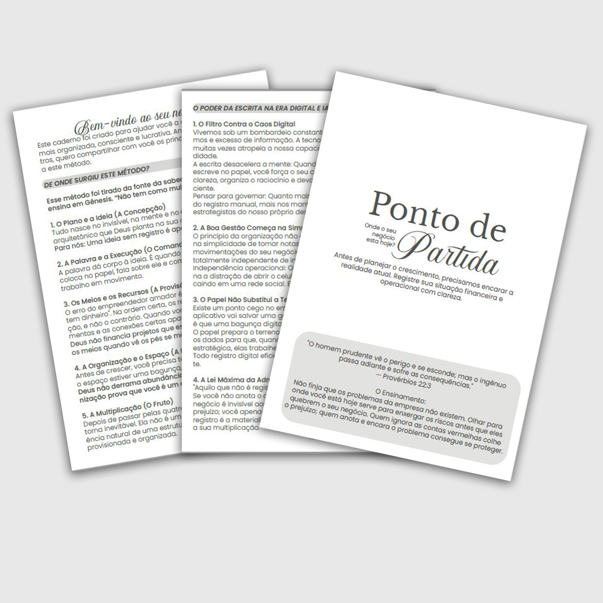 Caderno Seu MEI Lucrativo - Imagem 7