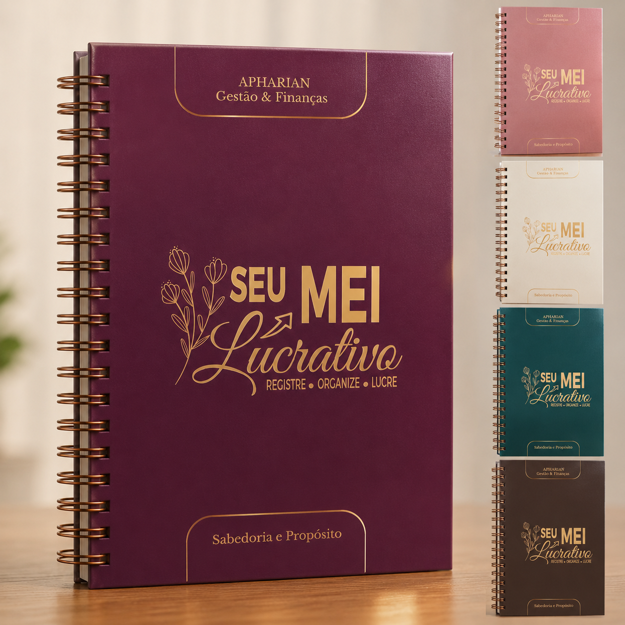 Caderno Seu MEI Lucrativo