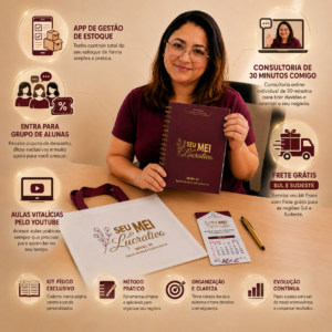 Método Seu MEI Lucrativo Nível 1 Saindo do modo Sobrevivência.